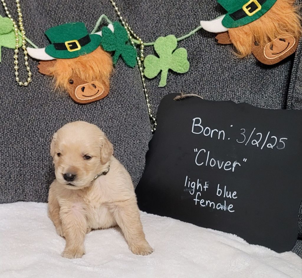 20250323_123800(0)5532357833604762553