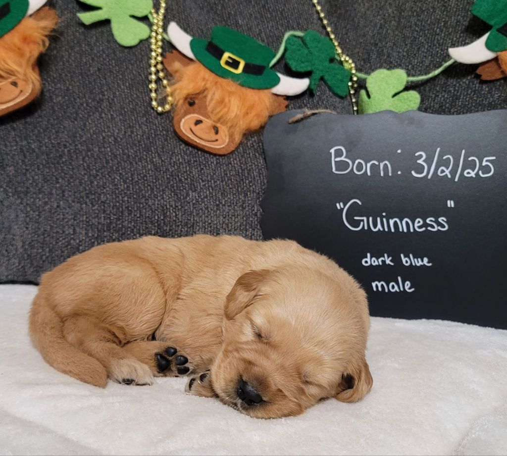 20250323_1321025237098401272921510